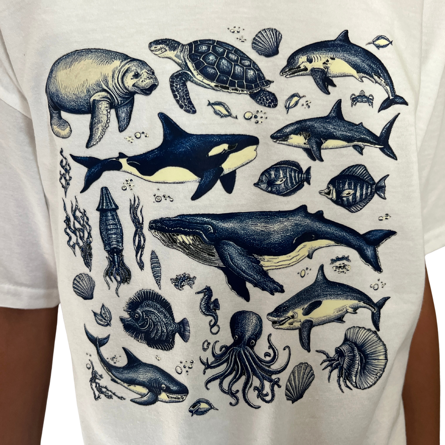 Ocean Wonders T-Shirt | Sea Life Graphic Tee